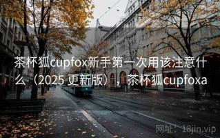 茶杯狐cupfox新手第一次用该注意什么（2025 更新版），茶杯狐cupfoxa