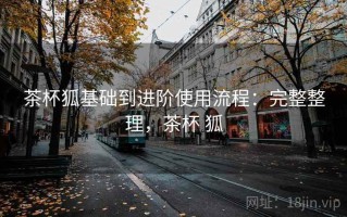 茶杯狐基础到进阶使用流程：完整整理，茶杯 狐