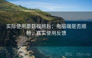 实际使用蘑菇视频后：电脑端是否顺畅，真实使用反馈