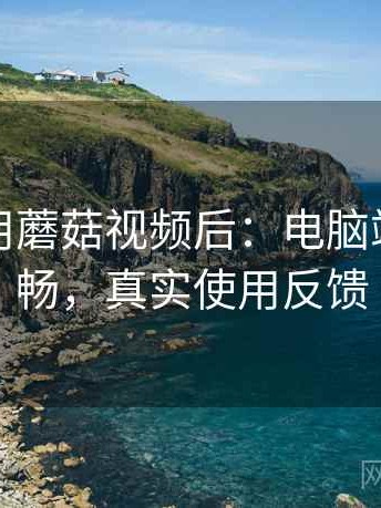 实际使用蘑菇视频后：电脑端是否顺畅，真实使用反馈