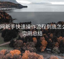 黑料网新手快速操作流程到底怎么样？实测总结