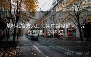 茶杯狐官方入口使用中常见疑问：完整整理，茶杯 狐