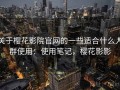 关于樱花影院官网的一些适合什么人群使用：使用笔记，樱花影影