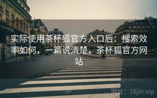 实际使用茶杯狐官方入口后：搜索效率如何，一篇说清楚，茶杯狐官方网站
