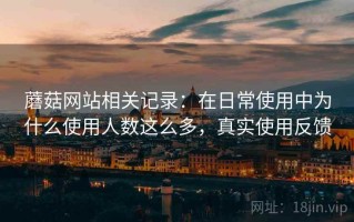 蘑菇网站相关记录：在日常使用中为什么使用人数这么多，真实使用反馈