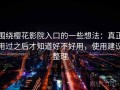 围绕樱花影院入口的一些想法：真正用过之后才知道好不好用，使用建议整理