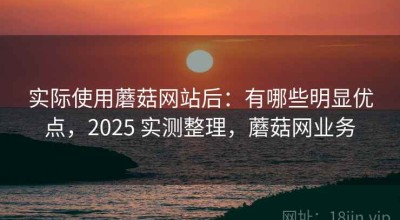 实际使用蘑菇网站后：有哪些明显优点，2025 实测整理，蘑菇网业务