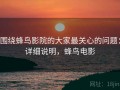 围绕蜂鸟影院的大家最关心的问题：详细说明，蜂鸟电影
