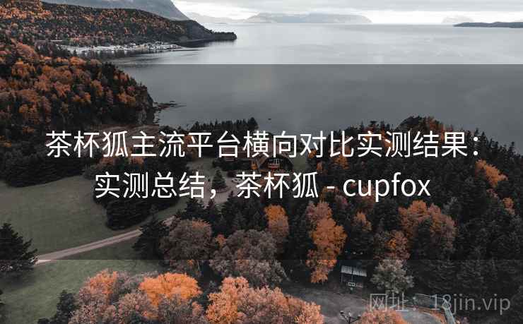 茶杯狐主流平台横向对比实测结果：实测总结，茶杯狐 - cupfox