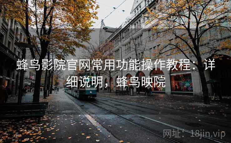 蜂鸟影院官网常用功能操作教程：详细说明，蜂鸟映院