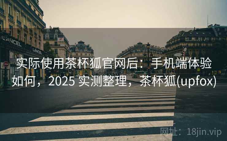 实际使用茶杯狐官网后：手机端体验如何，2025 实测整理，茶杯狐(upfox)