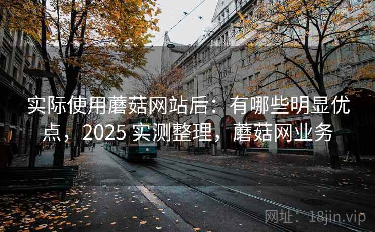 实际使用蘑菇网站后：有哪些明显优点，2025 实测整理，蘑菇网业务